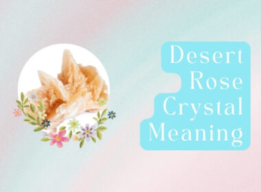 11 Desert Rose Crystal Meaning & Healing Properties
