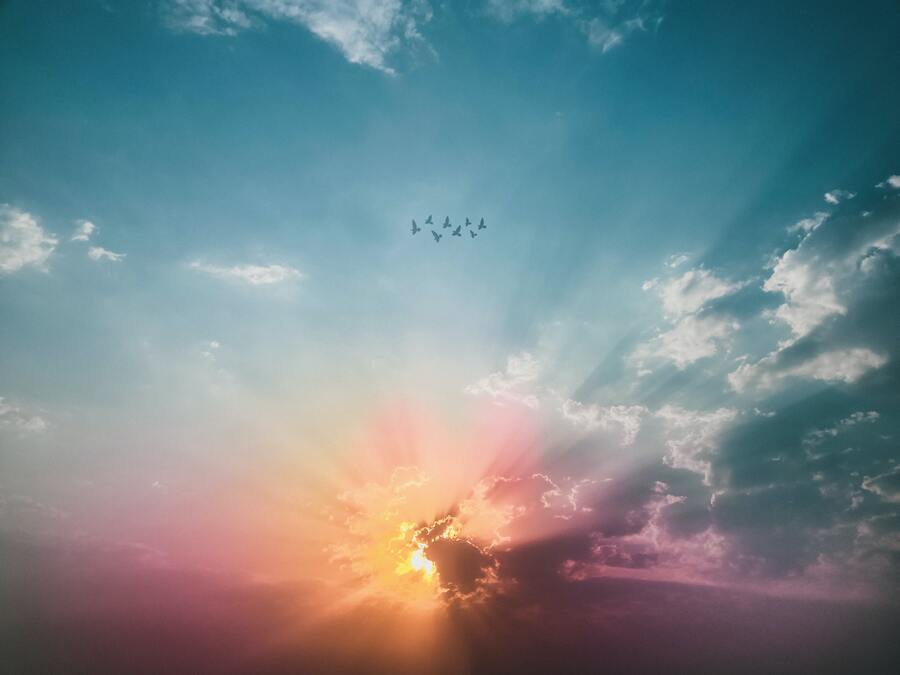 Sunlight